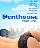 Penthouse / 